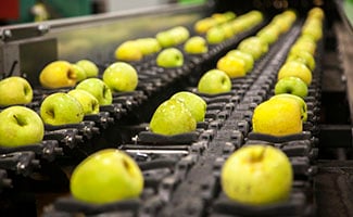 Markets-Food-Beverage-Fruit-Vegetable-Sorting-325x200-pixel