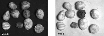 Blog_nut-inspection_stones