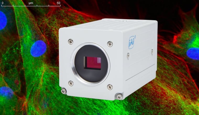Fluorescence-bg-and-Apex-camera