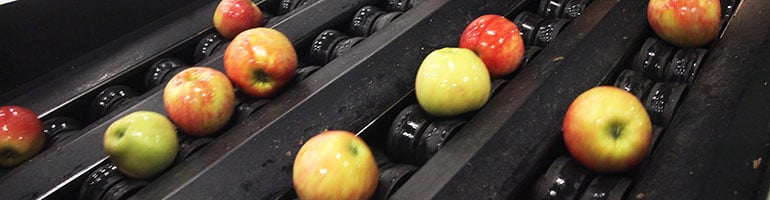 JAI-Food-Inspection-Camera