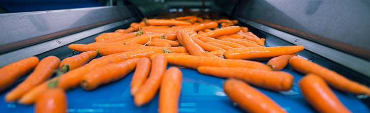 carrot sorting