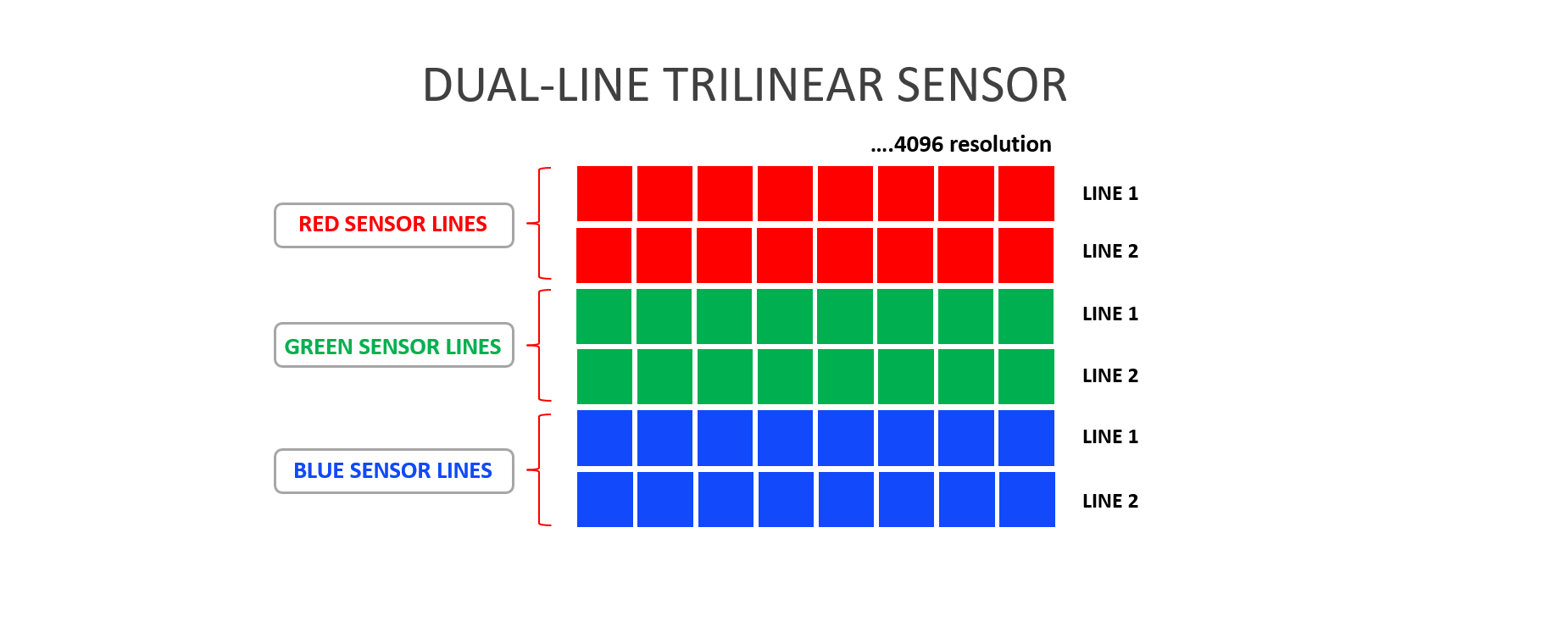 dual line trilinear sensor