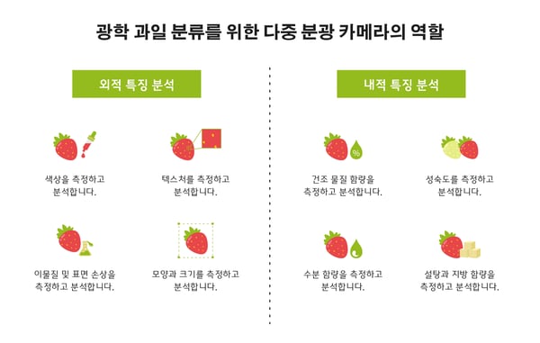 광학 과일 분류를 위한 다중 분광 카메라의 역할