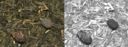 Screenshot 2026-01-09 100653