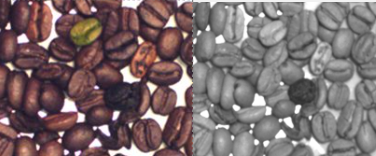 Screenshot 2026-01-09 100709